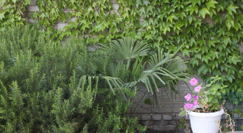 Гостиница Гостевой Дом Топаз Адлер-34