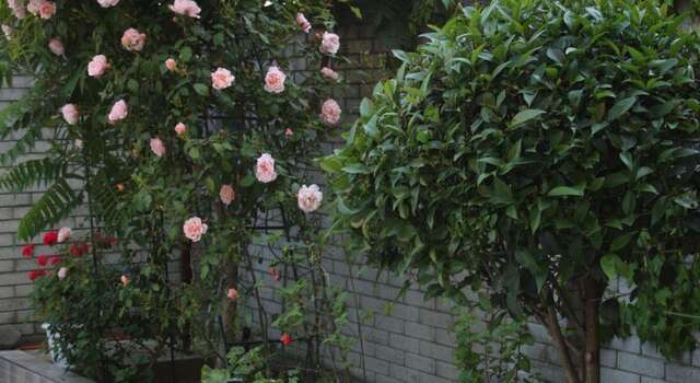 Гостиница Гостевой Дом Топаз Адлер-25