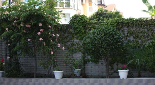 Гостиница Гостевой Дом Топаз Адлер-30